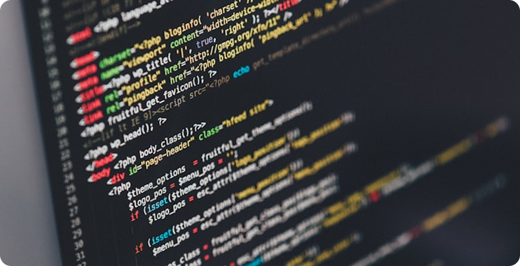 Custom Software Development